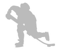 vinylreflex hockey stryka-på-reflex